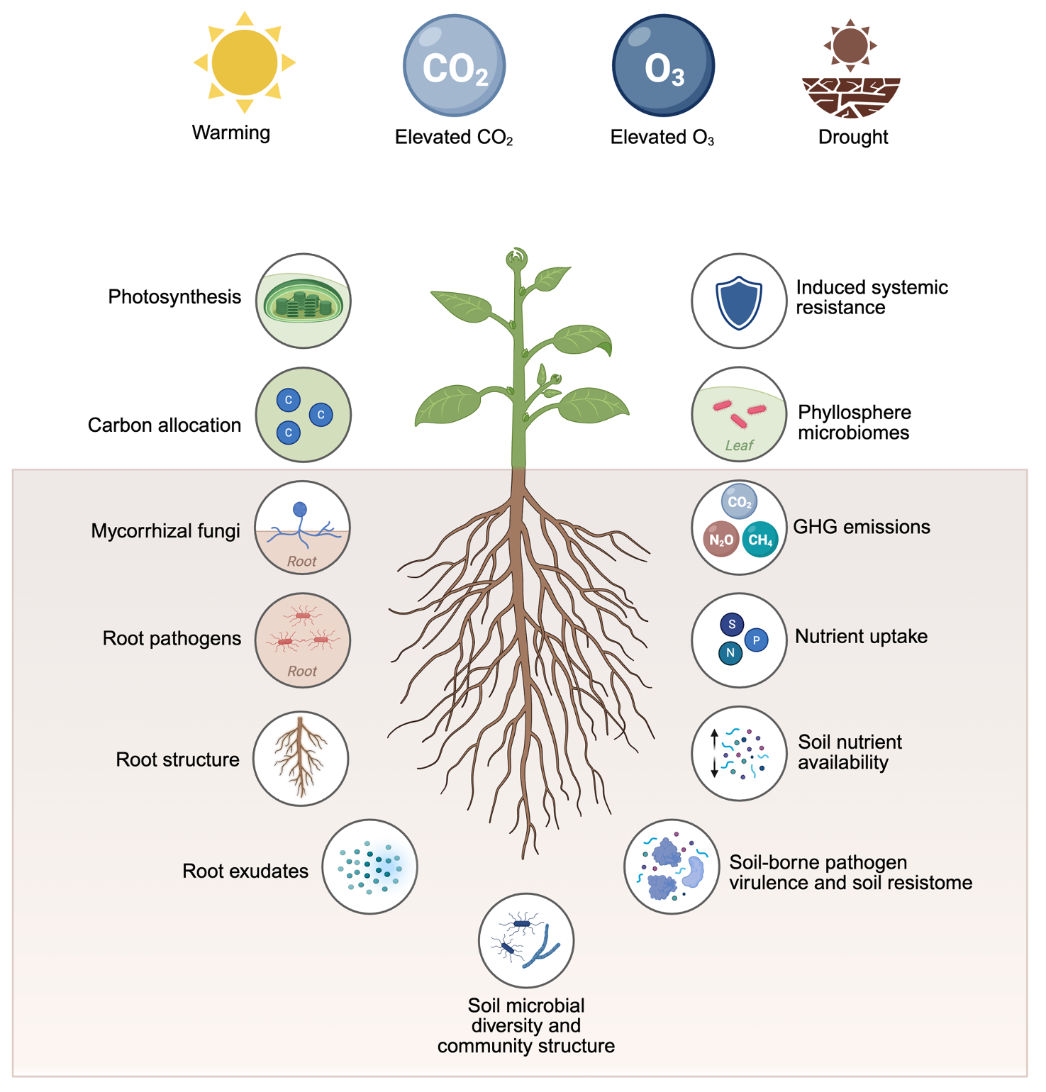 Climate change effects on soil microbiomes
